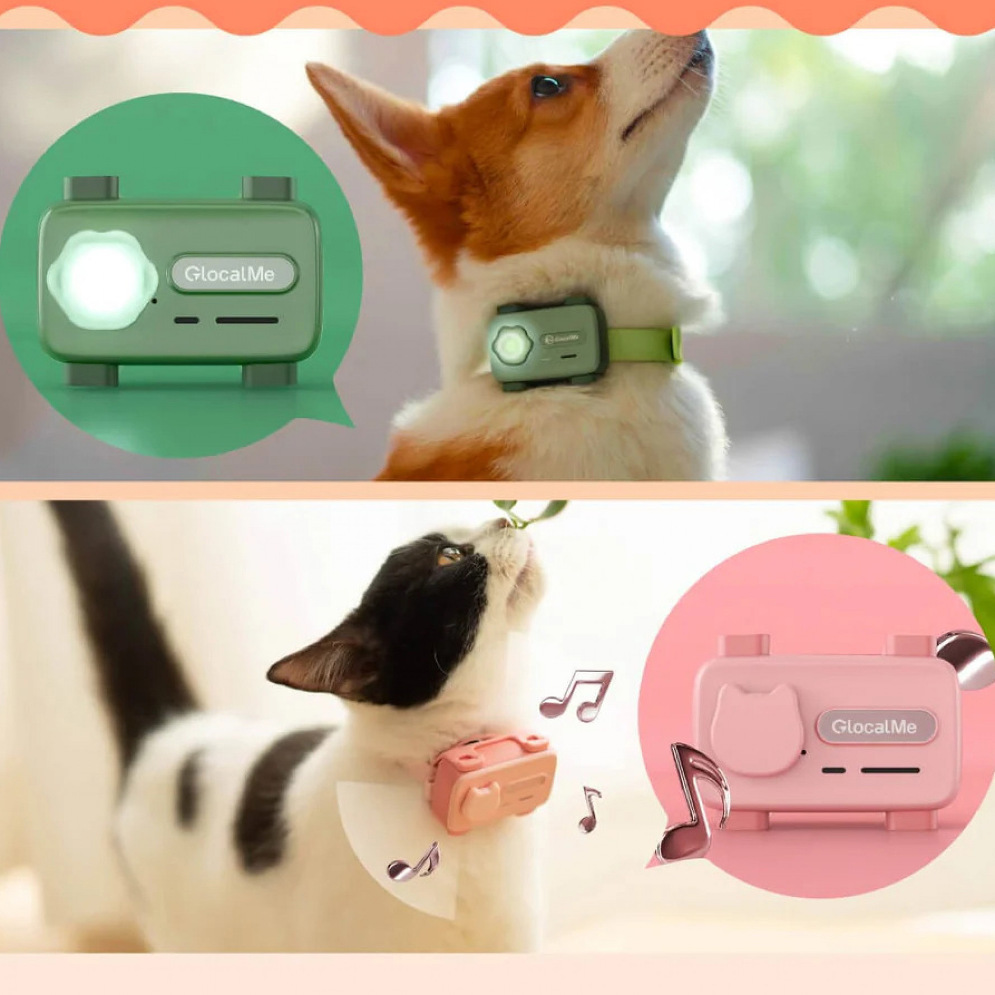 Смартфон  для домашніх тварин GlocalMe PetPhone